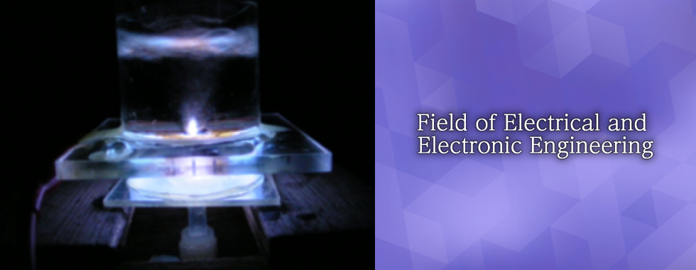 Field of Electrical and Electronic Engineering
